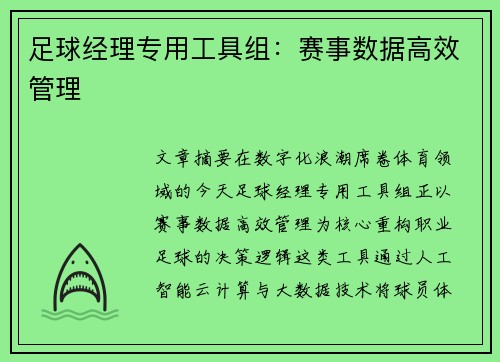 足球经理专用工具组：赛事数据高效管理