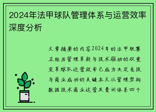 2024年法甲球队管理体系与运营效率深度分析